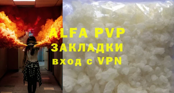 стаф Абаза