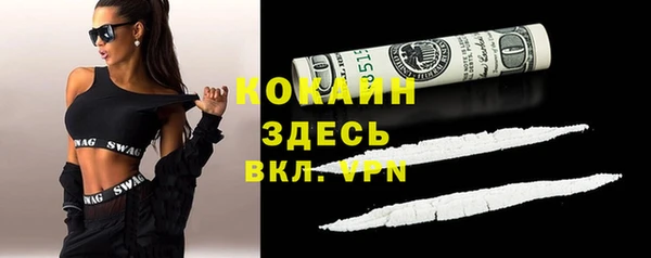 стаф Абаза