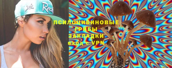 стаф Абаза