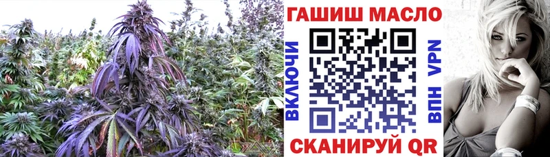 наркошоп  Алагир  ТГК концентрат 
